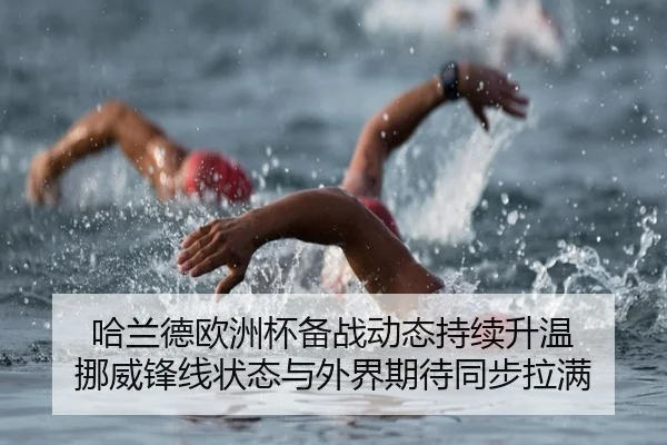 哈兰德欧洲杯备战动态持续升温 挪威锋线状态与外界期待同步拉满
